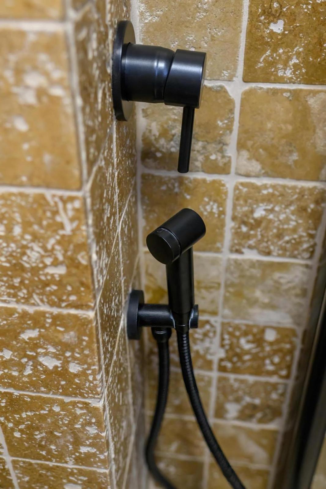 Five Stars Apartment 蒂米什瓦拉 外观 照片